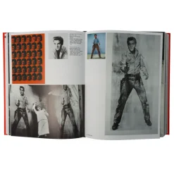 Andy Warhol Giant (Mini -Format)