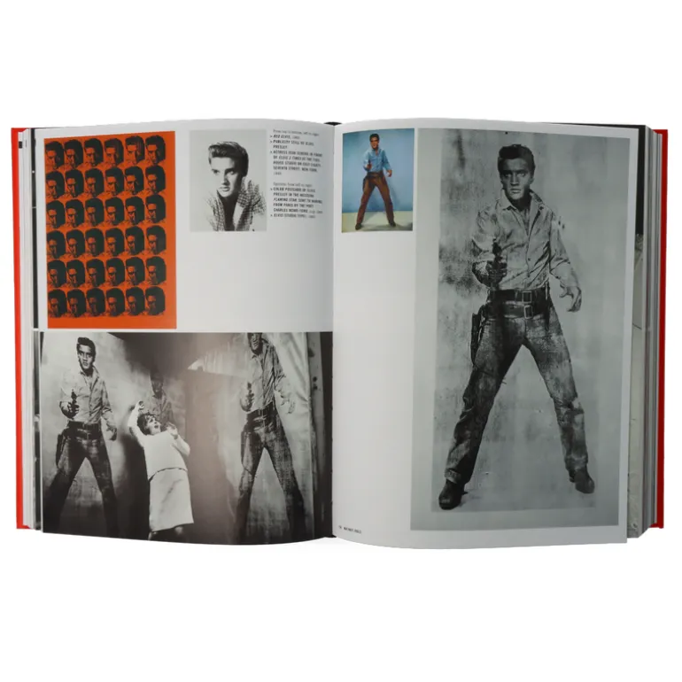 Andy Warhol Giant (Mini -Format)