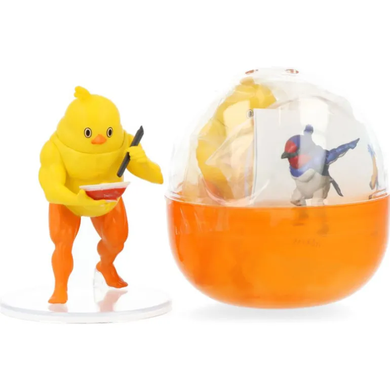 Gatimutidori Series 5