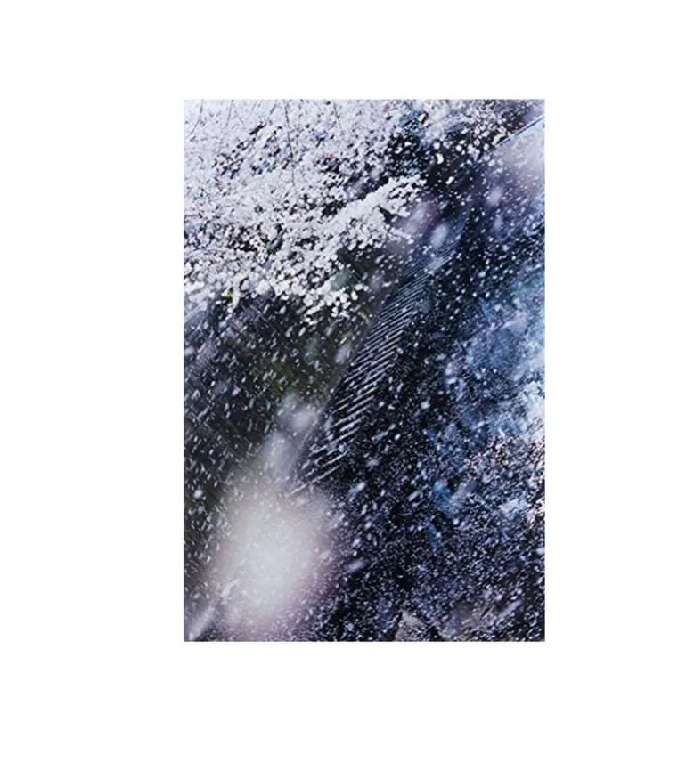 Mika Ninagawa : Into Fiction/Reality