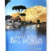 Small scale - Big World