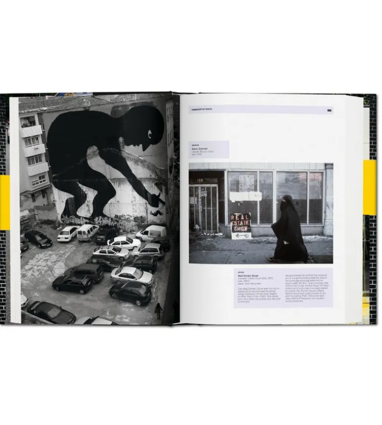 Trespass, histoire de l'art urbain illicite
